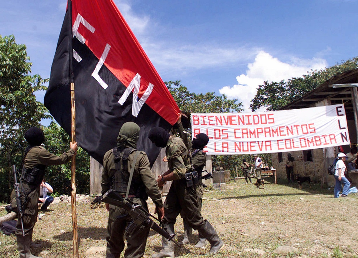 ELN boletinjulio11